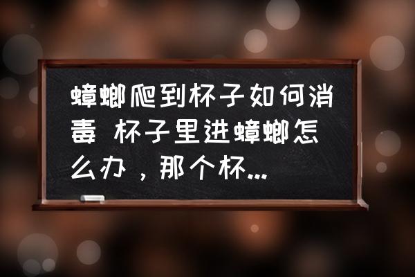 蟑螂爬到杯子如何消毒 杯子里進(jìn)蟑螂怎么辦，那個杯子還能用嗎？