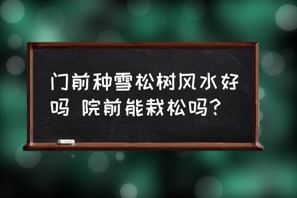 門前種雪松樹風(fēng)水好嗎 院前能栽松嗎？