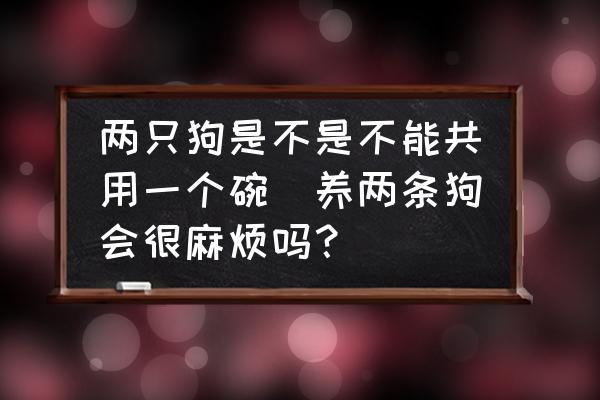 兩只狗是不是不能共用一個(gè)碗(養(yǎng)兩條狗會(huì)很麻煩嗎？)