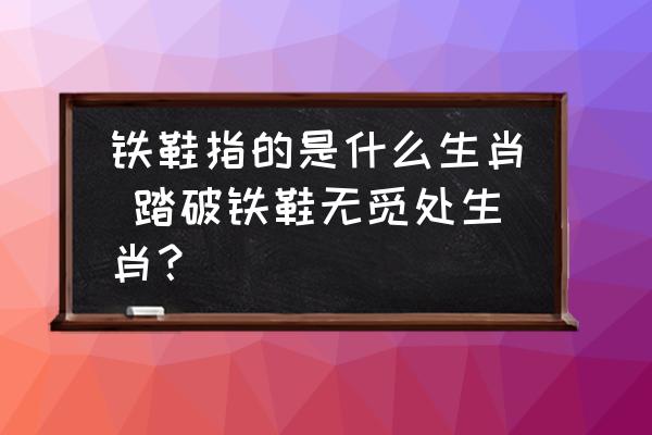 鐵鞋指的是什么生肖 踏破鐵鞋無覓處生肖？