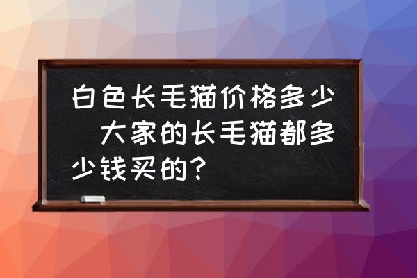 白色長毛貓價(jià)格多少(大家的長毛貓都多少錢買的？)