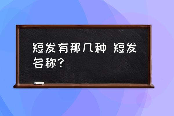 短發(fā)有那幾種 短發(fā)名稱(chēng)？