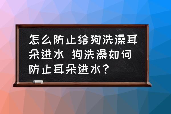 怎么防止給狗洗澡耳朵進(jìn)水 狗洗澡如何防止耳朵進(jìn)水？