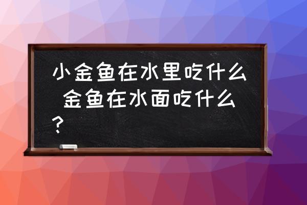 小金魚在水里吃什么 金魚在水面吃什么？