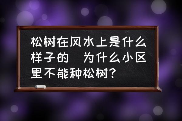 松樹(shù)在風(fēng)水上是什么樣子的(為什么小區(qū)里不能種松樹(shù)？)