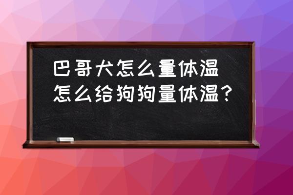 巴哥犬怎么量體溫(怎么給狗狗量體溫？)