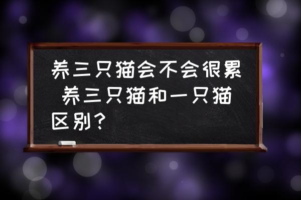 養(yǎng)三只貓會(huì)不會(huì)很累 養(yǎng)三只貓和一只貓區(qū)別？