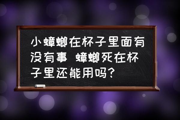 小蟑螂在杯子里面有沒有事 蟑螂死在杯子里還能用嗎？