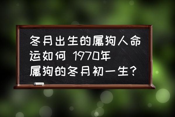 冬月出生的屬狗人命運(yùn)如何 1970年屬狗的冬月初一生？