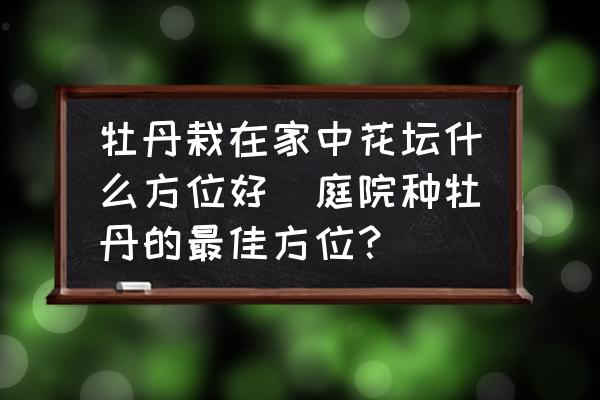牡丹栽在家中花壇什么方位好(庭院種牡丹的最佳方位？)