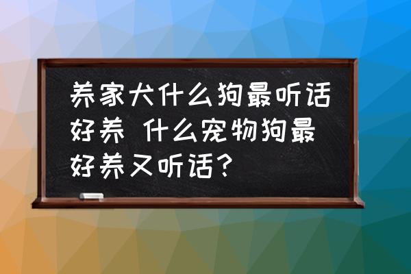 養(yǎng)家犬什么狗最聽話好養(yǎng) 什么寵物狗最好養(yǎng)又聽話？
