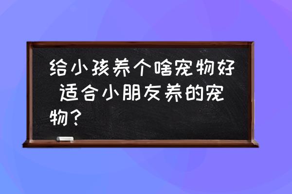 給小孩養(yǎng)個啥寵物好 適合小朋友養(yǎng)的寵物？