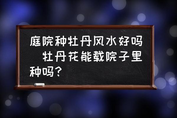 庭院種牡丹風(fēng)水好嗎(牡丹花能載院子里種嗎？)