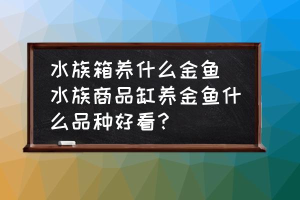 水族箱養(yǎng)什么金魚(水族商品缸養(yǎng)金魚什么品種好看？)