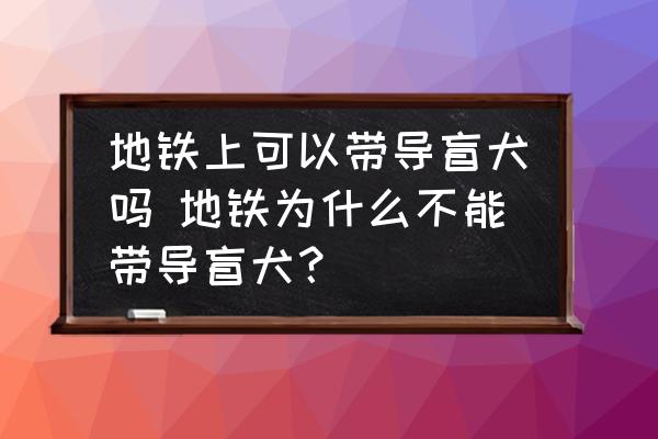 地鐵上可以帶導盲犬嗎 地鐵為什么不能帶導盲犬？