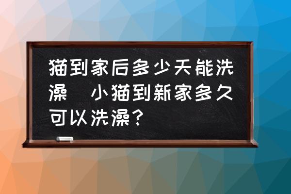 貓到家后多少天能洗澡(小貓到新家多久可以洗澡？)