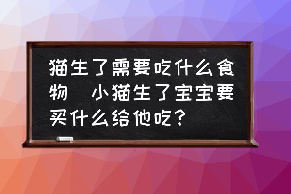 貓生了需要吃什么食物(小貓生了寶寶要買(mǎi)什么給他吃？)
