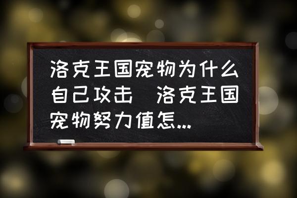 洛克王國寵物為什么自己攻擊(洛克王國寵物努力值怎么提升？)