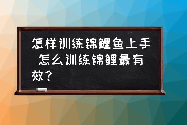 怎樣訓(xùn)練錦鯉魚上手 怎么訓(xùn)練錦鯉最有效？