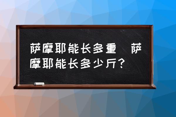 薩摩耶能長(zhǎng)多重(薩摩耶能長(zhǎng)多少斤？)
