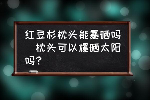 紅豆杉枕頭能暴曬嗎(枕頭可以爆曬太陽嗎？)