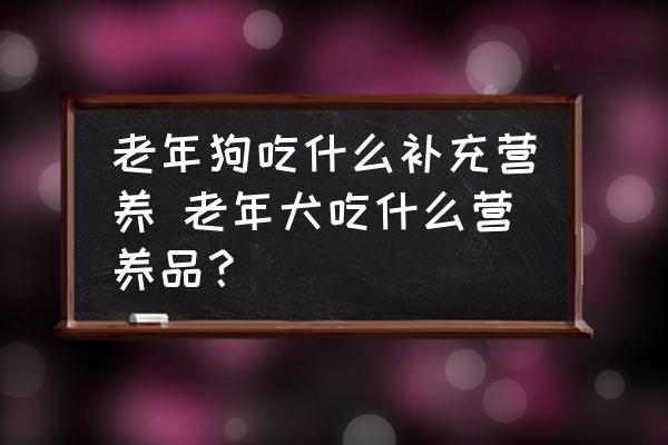老年狗吃什么補(bǔ)充營養(yǎng) 老年犬吃什么營養(yǎng)品？