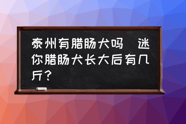 泰州有臘腸犬嗎(迷你臘腸犬長(zhǎng)大后有幾斤？)