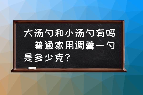 大湯勺和小湯勺有嗎(普通家用調(diào)羹一勺是多少克？)