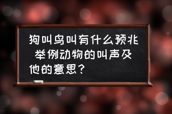 狗叫鳥叫有什么預(yù)兆 舉例動(dòng)物的叫聲及他的意思？