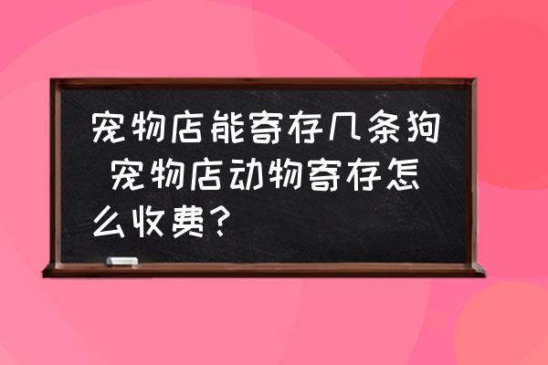 寵物店能寄存幾條狗 寵物店動物寄存怎么收費(fèi)？