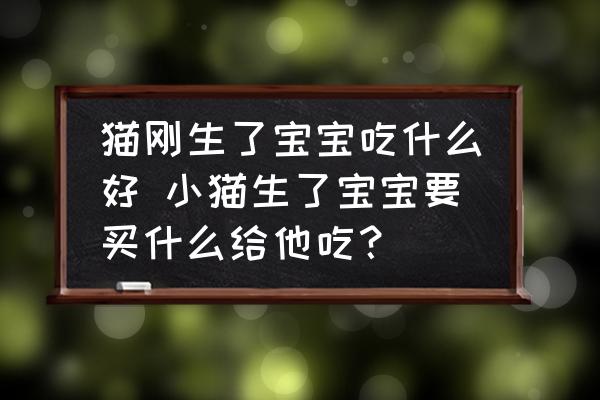 貓剛生了寶寶吃什么好 小貓生了寶寶要買什么給他吃？
