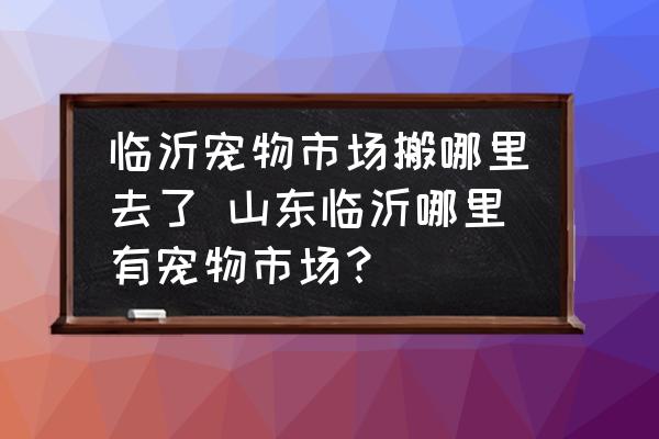 臨沂寵物市場搬哪里去了 山東臨沂哪里有寵物市場？