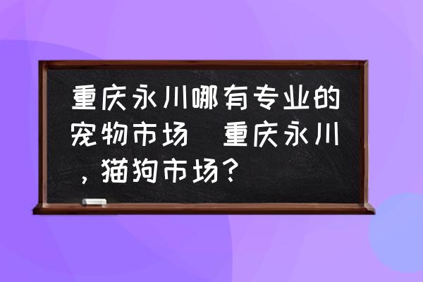 重慶永川哪有專業(yè)的寵物市場(重慶永川，貓狗市場？)