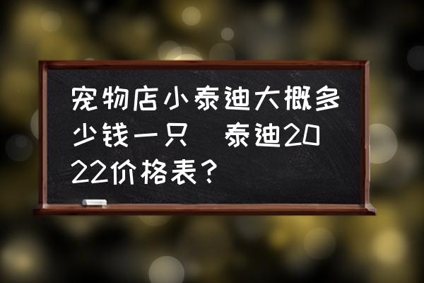寵物店小泰迪大概多少錢一只(泰迪2022價格表？)