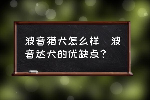 波音獵犬怎么樣(波音達犬的優(yōu)缺點？)