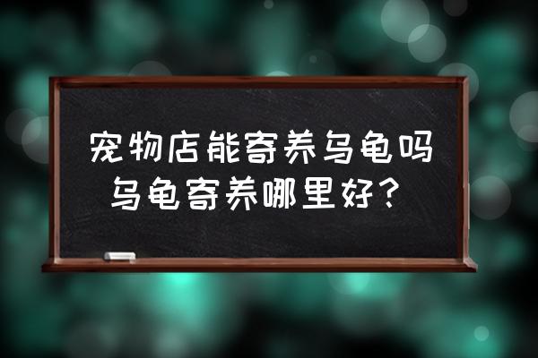 寵物店能寄養(yǎng)烏龜嗎 烏龜寄養(yǎng)哪里好？