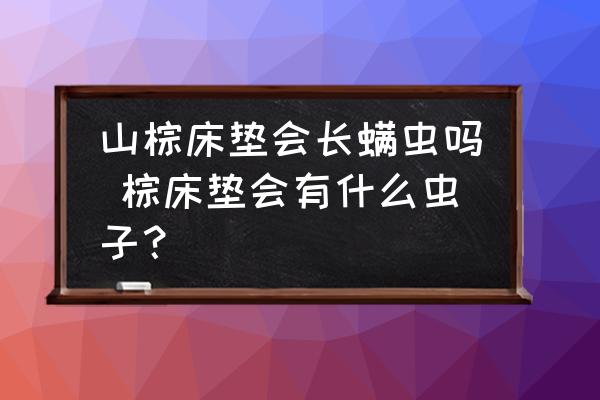 山棕床墊會(huì)長螨蟲嗎 棕床墊會(huì)有什么蟲子？